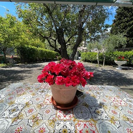 Rosy Apartment - Levanto, 5 Terre Eksteriør billede