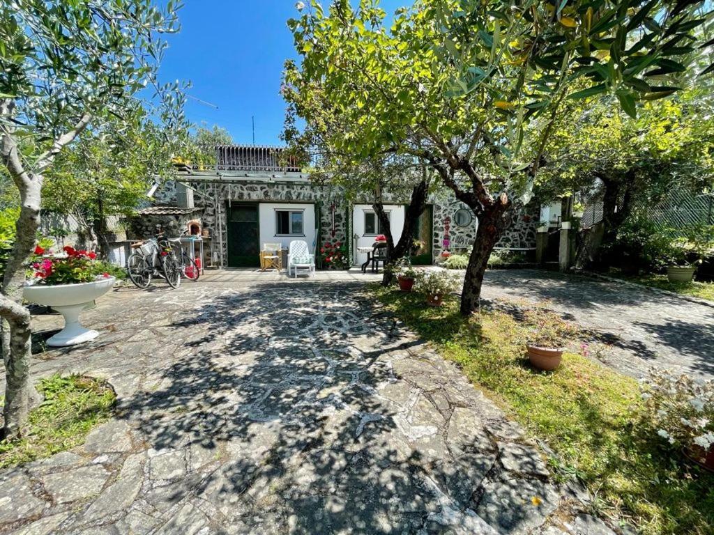 Rosy Apartment - Levanto, 5 Terre Eksteriør billede