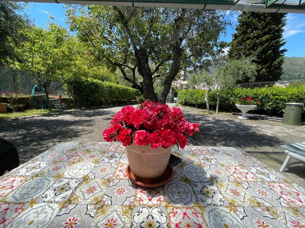 Rosy Apartment - Levanto, 5 Terre Eksteriør billede