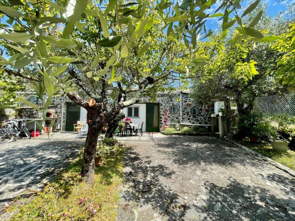 Rosy Apartment - Levanto, 5 Terre Eksteriør billede