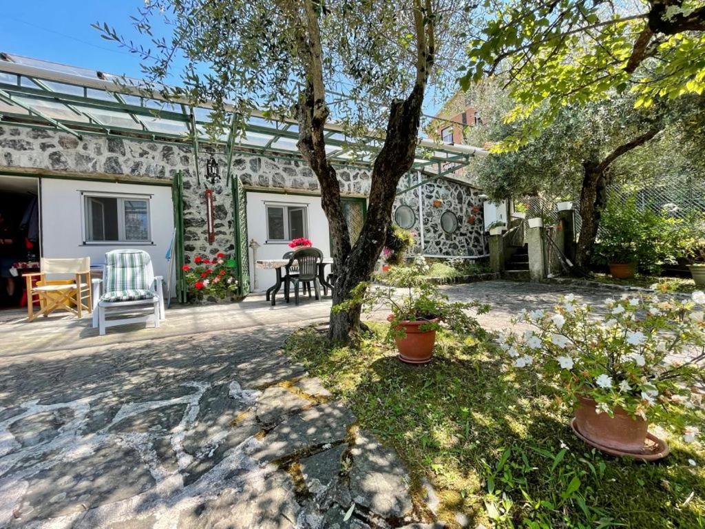 Rosy Apartment - Levanto, 5 Terre Eksteriør billede