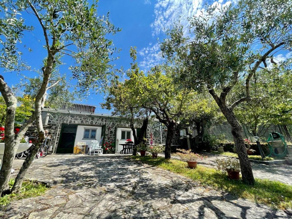 Rosy Apartment - Levanto, 5 Terre Eksteriør billede